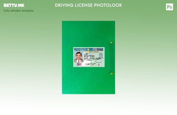 модерен стил САД Охајо возачка дозвола претставува photolook ФРОНТ шаблон